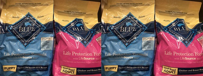 Is Blue Buffalo Good For Pugs? (Good, Bad, & Ugly)
