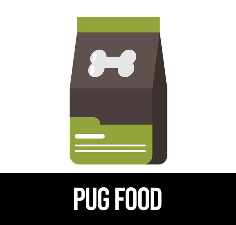 Best Dog Food For Pugs How to Buy The Right Food