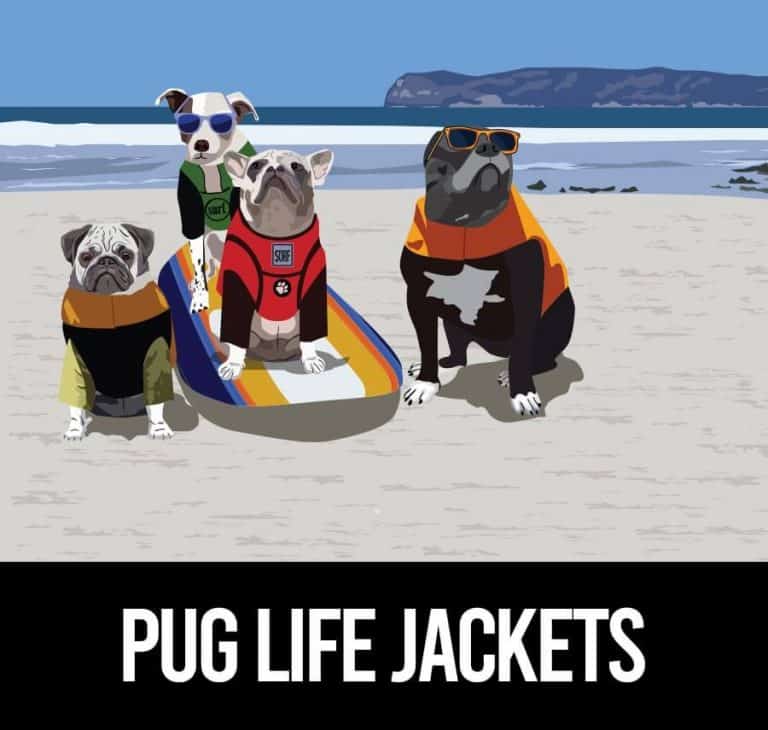 Best Life Jacket For Pugs And 5 Others On The Market